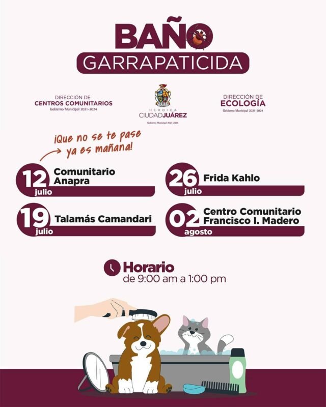 669049b5946a5__669049b5946a6