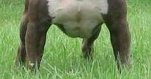C6YQD3ZQNJHNBFO27QK3MRBN3E