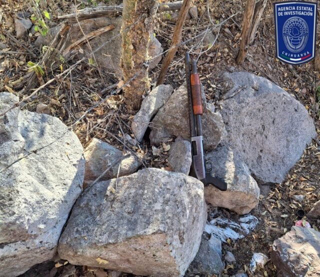 a1a238c1-8680-4016-a6f1-c809f520245a