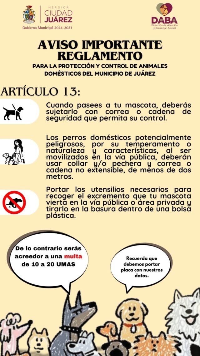 678573302ed87__678573302ed88