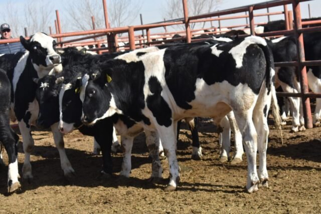 67aa2f3083849__67aa2f308384b