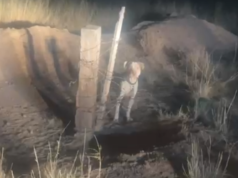 Policías Municipales rescatan y adoptan a perro abandonado