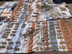 “Operación Frontera Norte” logra el aseguramiento de 384 armas de fuego