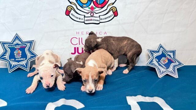 0de63200-7028-419e-85df-592119475803