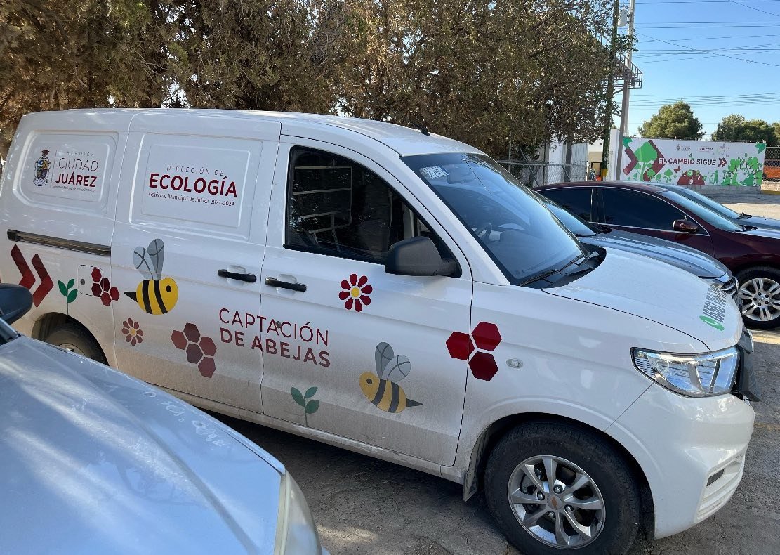 Pide Ecología reportar enjambres de abejas Pide Ecología reportar enjambres de abejas