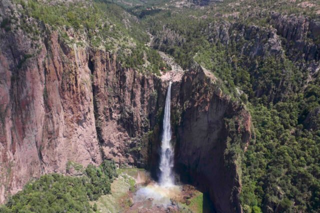 6868c486-4155-418e-bc0c-abbf451516fa