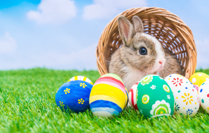 Emite SSPM recomendaciones preventivas para festejos de Pascua Emite SSPM recomendaciones preventivas para festejos de Pascua