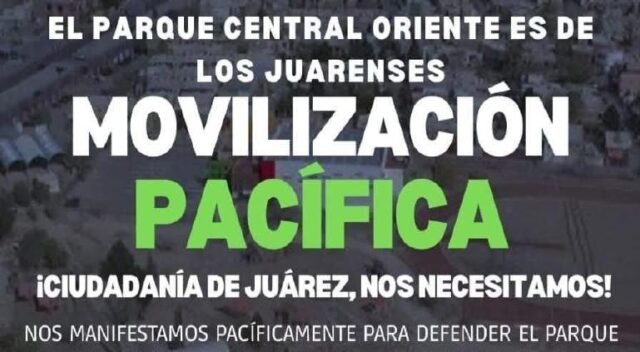 principal_imagen-de-whatsapp-2025-04-18-a-las-082536_87e411a4