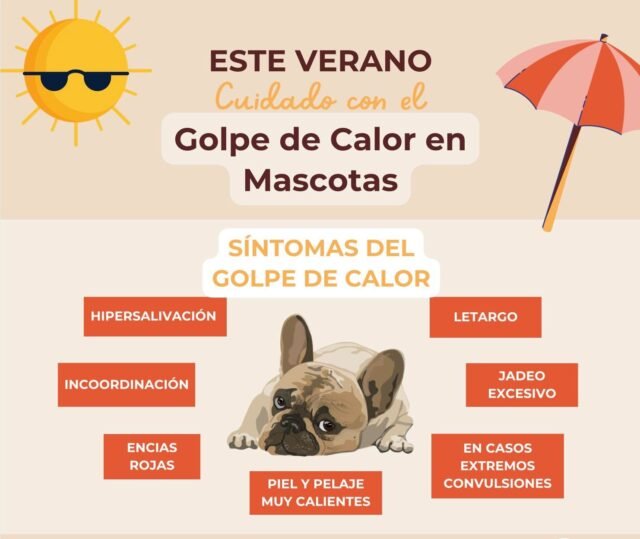 683a01d4e6bdf__683a01d4e6be1