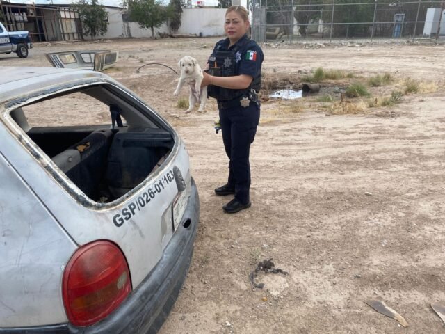 e0f19567-e719-474f-b54e-8674c6ae437b