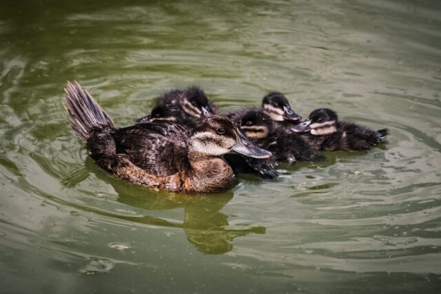 547ff91b-bc88-47a8-af47-d4899d7fe8c1