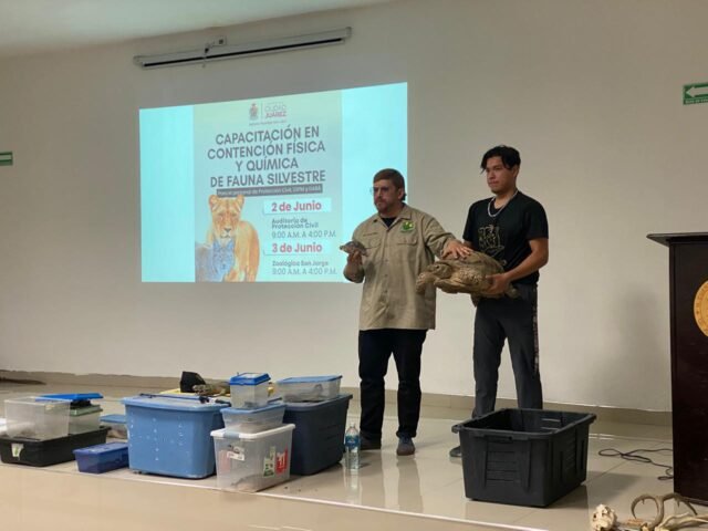 68406035b1605__68406035b1607-1