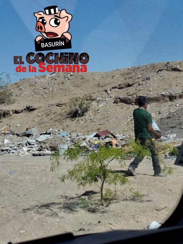 68431d477f7cd__68431d477f7ce