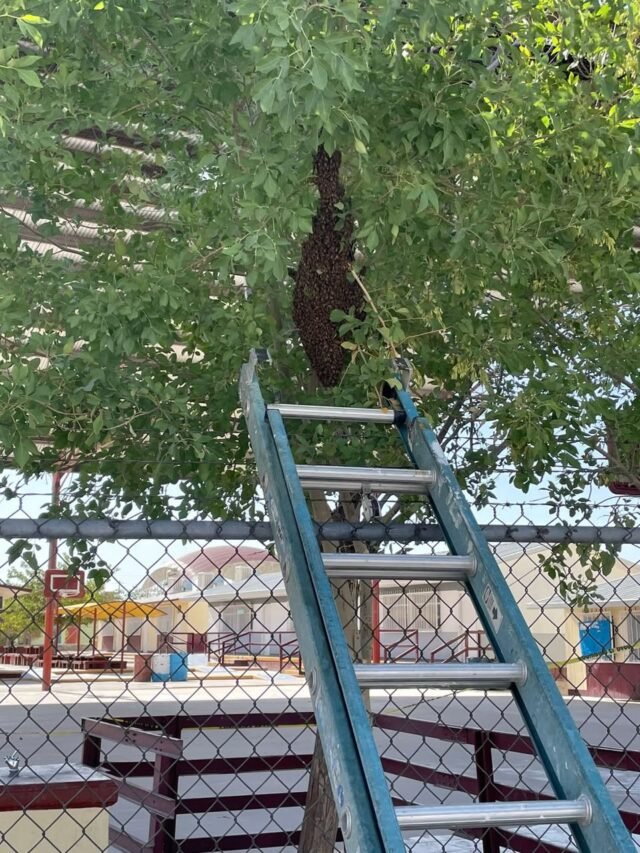 685aea61baa97__685aea61baa98