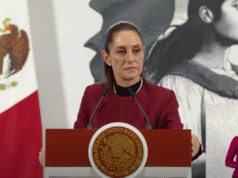 Sheinbaum propondrá eliminar plurinominales en reforma electoral