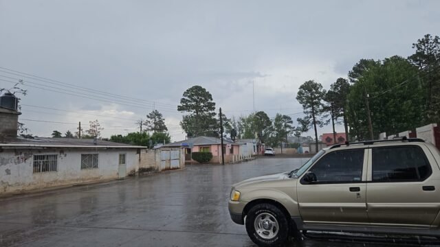 WhatsApp Image 2025-06-12 at 2.40.04 PM