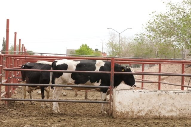 686c2dca164bf__686c2dca164c0