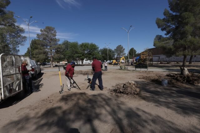 68795a0c4bf22__68795a0c4bf24