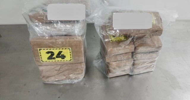 f5016493-e1fb-4e6d-9077-5f870825d6ba