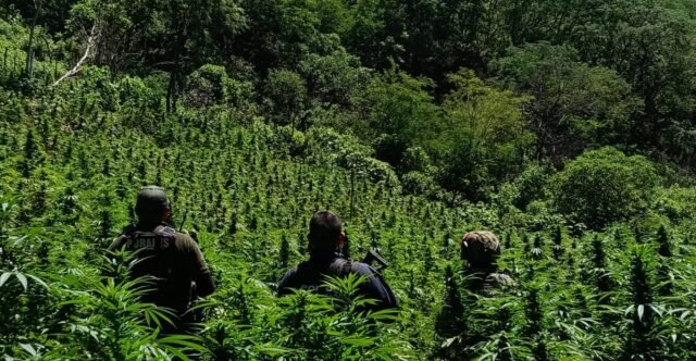 000cea33-973d-42c1-9e2d-97fa7e322d96