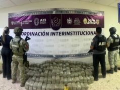 Asegura Fiscalía en operativo conjunto cerca de 300 kilos de marihuana en un domicilio de Chihuahua