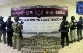 Asegura Fiscalía en operativo conjunto cerca de 300 kilos de marihuana en un domicilio de Chihuahua