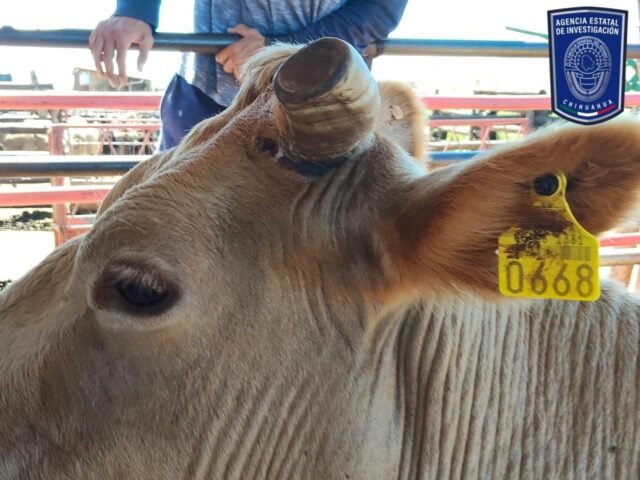 7853d02d-e2a3-4b74-a4ac-41b408dce1c4