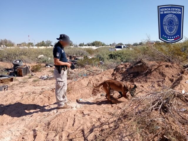 4588e3df-4391-484b-b566-400aba879f6e