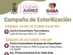 Invita DABA a Campaña de Esterilización este fin de semana