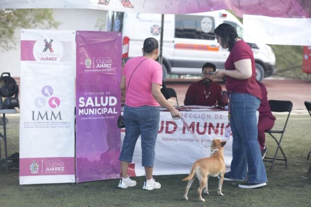 68dd49c627f1f__68dd49c627f20