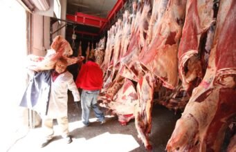 Presenta Rastro Municipal cifras de septiembre