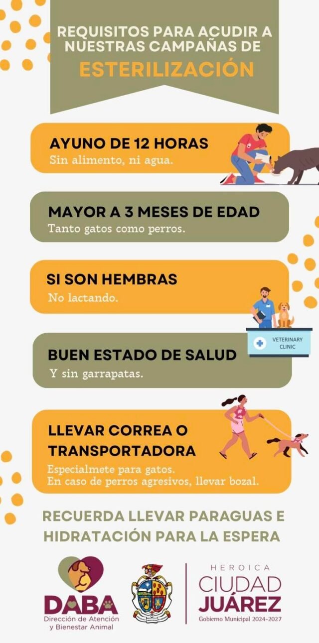 68eff0a959f76__68eff0a959f77