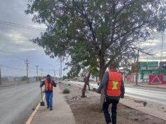 Empresas se suman a la limpieza y mantenimiento de avenidas