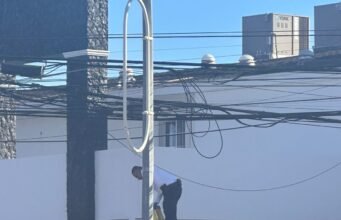 Rescatan agentes viales a gatito de entre los cables de electricidad en la Gómez Morin