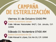 Realizará DABA campaña de esterilización gratuita para mascotas este viernes y sábado