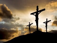Señor Jesús: ¡Acreciéntanos la fuerza de la vida!