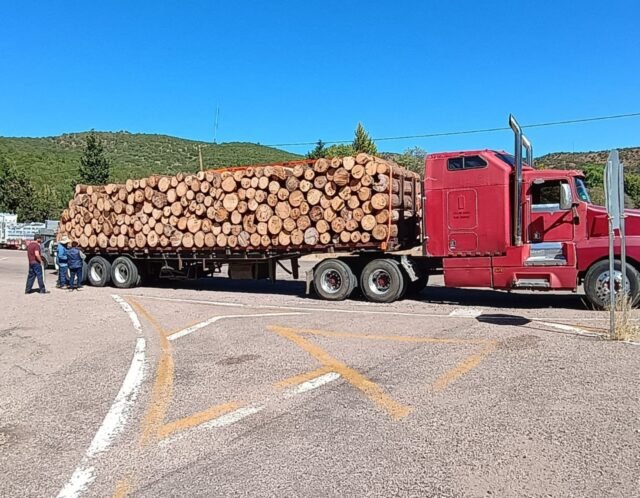 eba3ad58-37c1-4dff-94d7-a9b8bf88b2dc