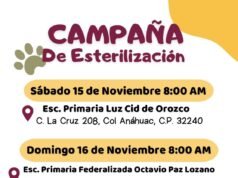 Esterilizará DABA sábado y domingo a mascotas de las colonias Anáhuac y Ampliación Fronteriza