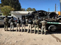 Durante cateo en El Sauzal, asegura AEI droga, vehículos con reporte de robo y autopartes