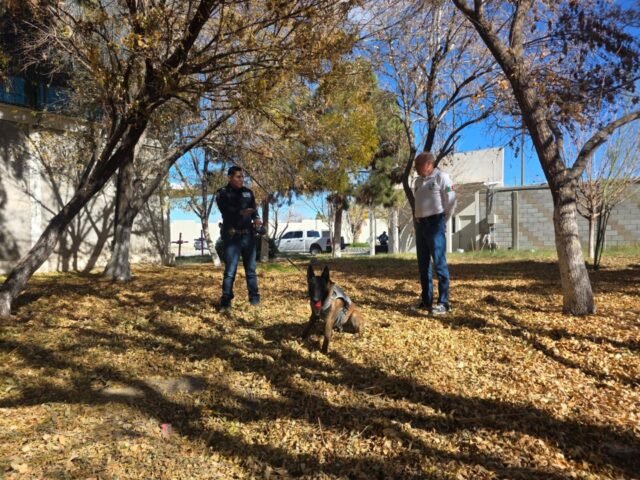 605629636_1443020631164087_8561151250529765326_n