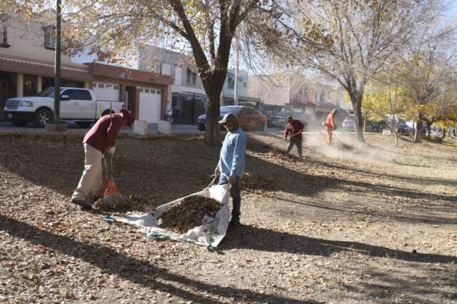 69431ea70c292__69431ea70c293