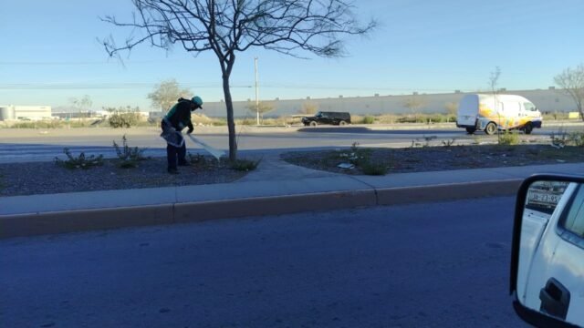 694ec82938a65__694ec82938a66