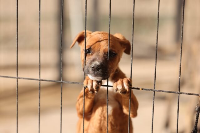 6952d6b61b523__6952d6b61b525