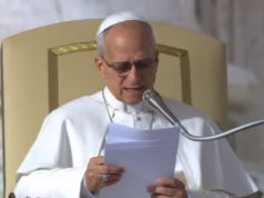 “El Papa León XIV despide 2025 con un llamado a la paz, la gratitud y la esperanza”