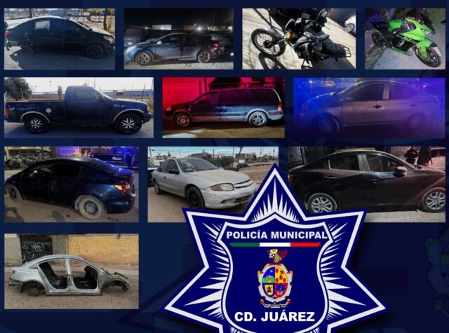 612299436_1448701260596024_8789941592051252115_n