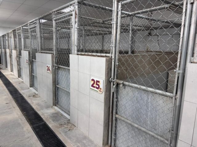 696145b2dca3b__696145b2dca3c