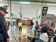 Participa SSPM en operativo especial de seguridad y revisión en la central de autobuses