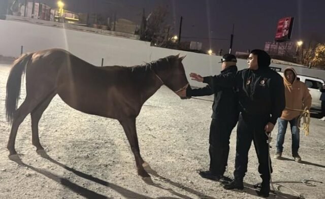 principal_615033563_890298603513041_4567773777342255376_n