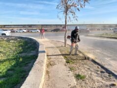 Le da Parques y Jardines mantenimiento a la calle Ing. David Herrera Jordán