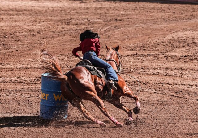 6994bd1b37fae__6994bd1b37faf